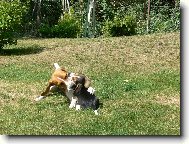 M�m t� r�da, si m�j nejlep�� k�mo�...