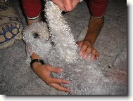 taky t� pohlad�m