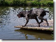 U� jdu na to, ��fe!