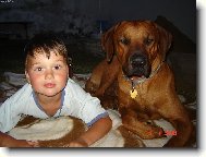 Synove�ek s haf�kem