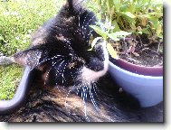 To je ale pohoda...neru�it!!!