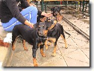 ��astn� ps�k...