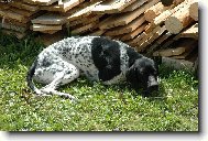 Je�t� chvilinku si odpo�inu