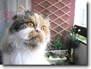 Neunikne� mi .......