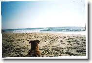 B�bo vyhl�� p�n��ka