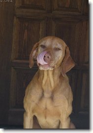 "Bych T� l�skou sn�d"