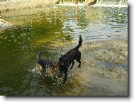 ,,man�elsk�,,h�dka