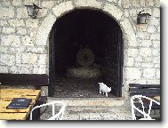 Ko�ka v roli kontrolora