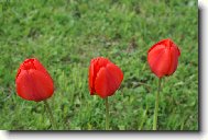 kr�sy Melechovsk� chaloupky:)