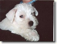 Na�e �t��ata