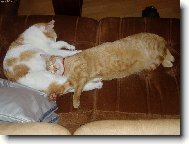 u maminky je nejl�p