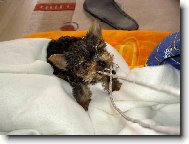 Ted��ek - na�e radost s velk�m "R"