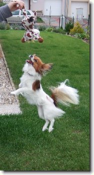 To jsem �ikovn�!