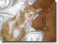 po pr�ci je nutn� odpo�inek