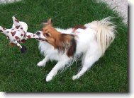 To je moj������!!!!!!