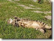 Odpo�inek po o�ist�