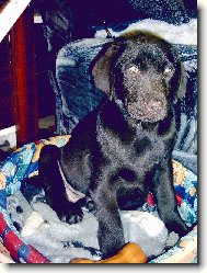 je�t� mal�,ale �ikovn�