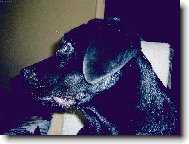 m�j profil v 6 m�s�c�ch