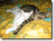 Mazl�ci p�i odpo�inku