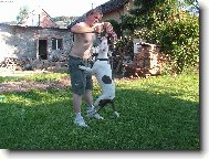 Kdo d�le vydr��?