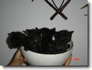 Spr�vn� p�tka:)