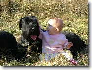 Mám tě rád,mám tě ráda....