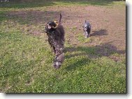 ��� Cidinka dostala klac��ek