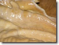 Kon�prusk� jeskyn�