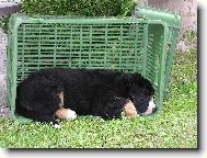 Tak tady sp�m nejrad�ji.