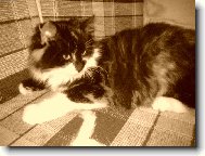 Moje slun��ko...  :o))