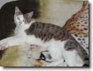 "Co to d�l�,pro� m� fot�?"