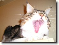 U����� !!!