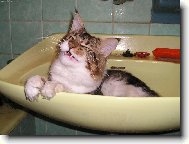 ��kali, �e pote�e smetana...