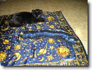 �ek�n� na v�klad budoucnosti