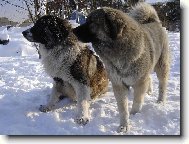 ��� n�co se d�je !!!!!!!