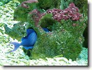 a schov�m se v�m......