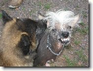 Jim u� m� mal�ch terv�k� pln� zuby :-))