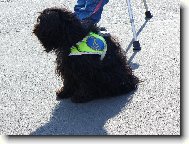 Nezn�m� pomocn�k