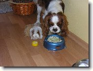 Hmm, to bude ale dobr�tka, hmm.