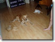 a co budeme d�lat te�??