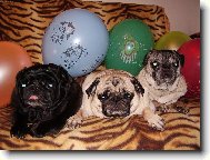 Odlet�me v�ichni...