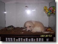 Tohle ale nen� m�ma...