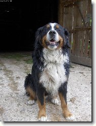 Sebastian to je pohoda- tak se v�dy sm�ju