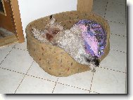 TE� MI NERU�TE !!!