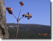 Podzim v Krkono�ich