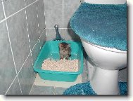 Jsem tu dob�e na WC ??