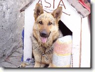 N� pes obran�� ;o)