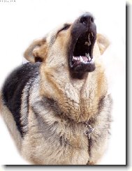 Takhle hl�d�m p�n��ky;o)