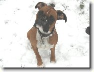 �ek�m na povel, p�n��ku!