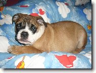 Bone�ek v oblac�ch